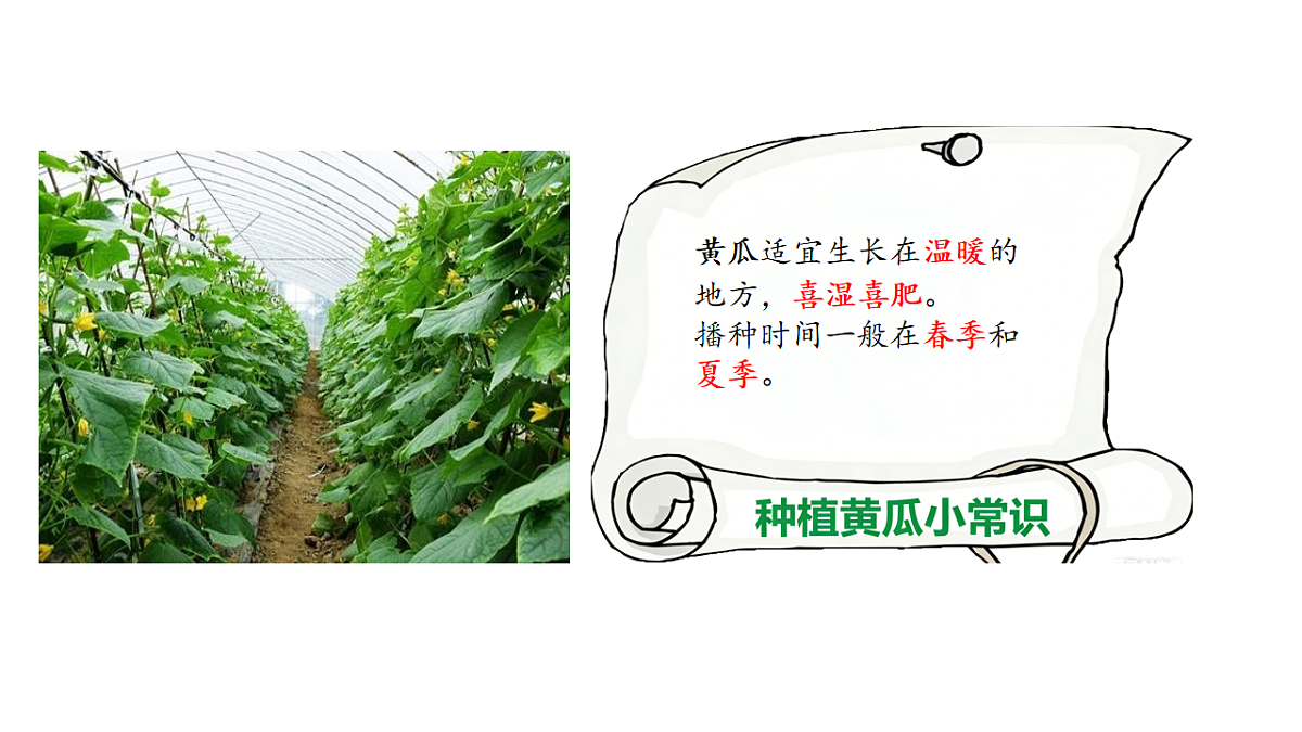 17922563第7页