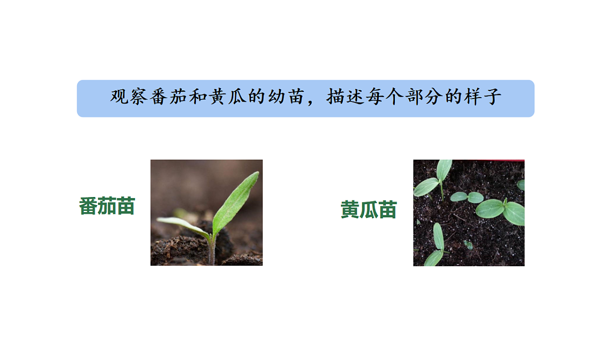 17922564第2页