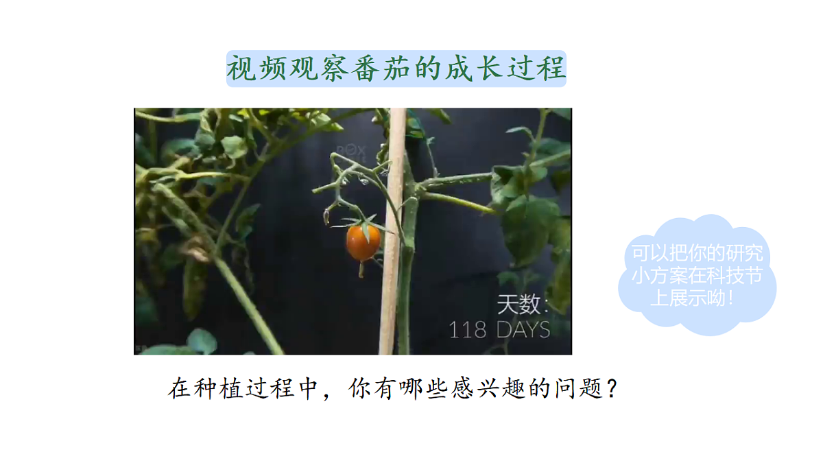 17922564第3页