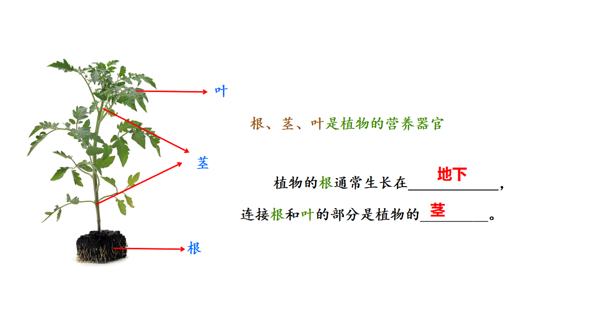 17922564第4页