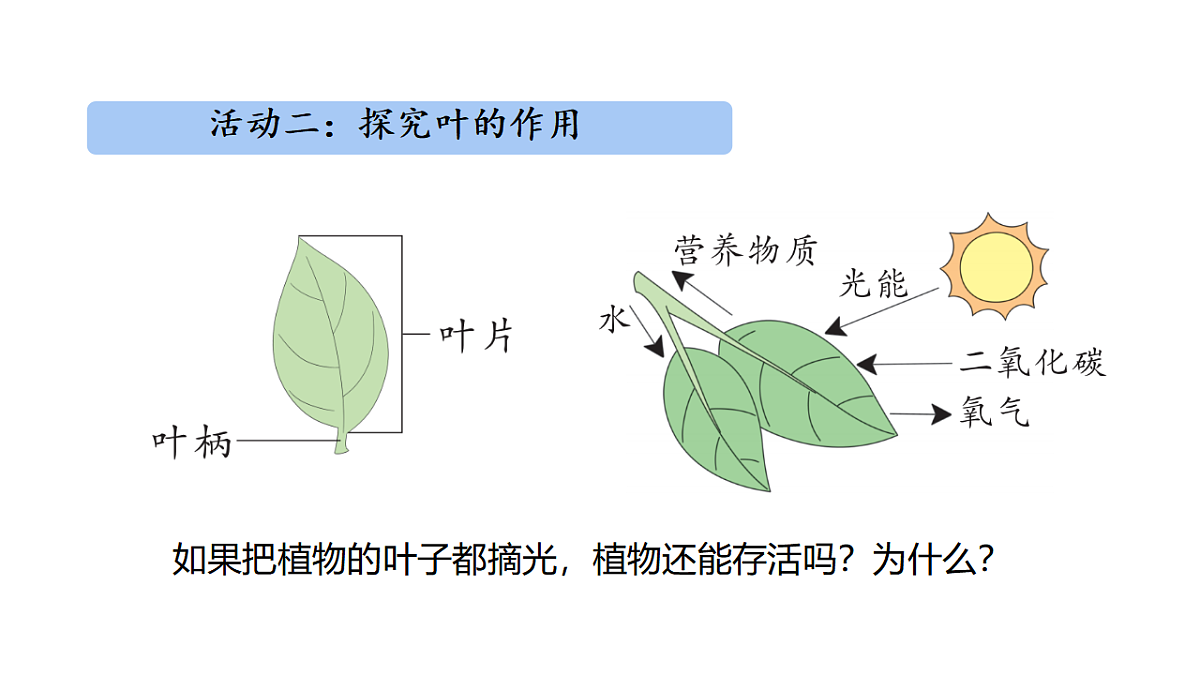 17922564第5页