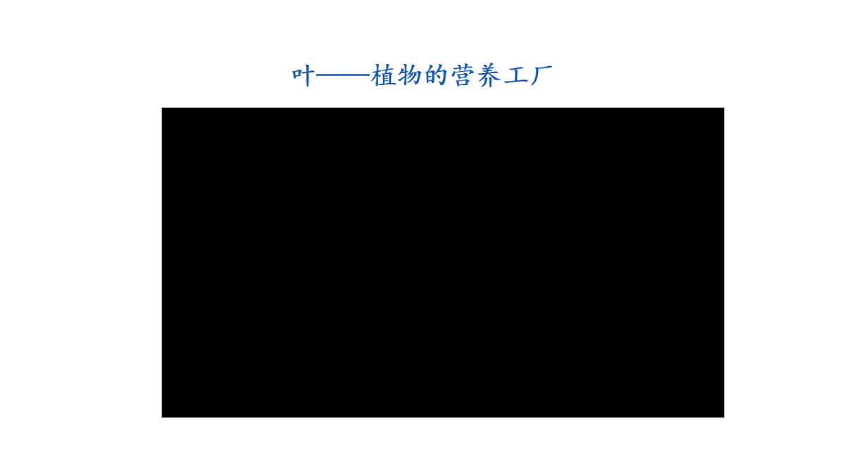 17922564第6页