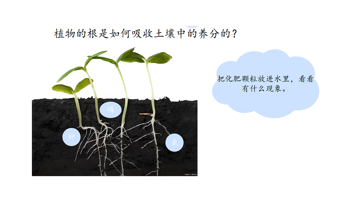 17922564第8页