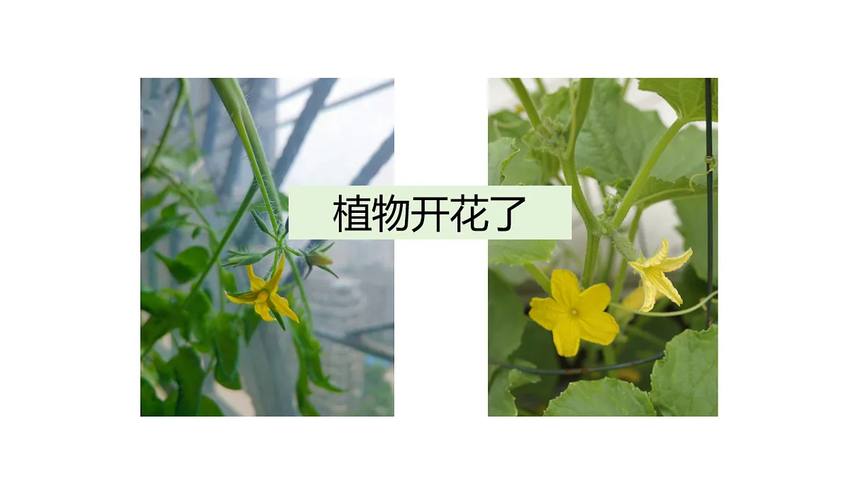 17922565第2页