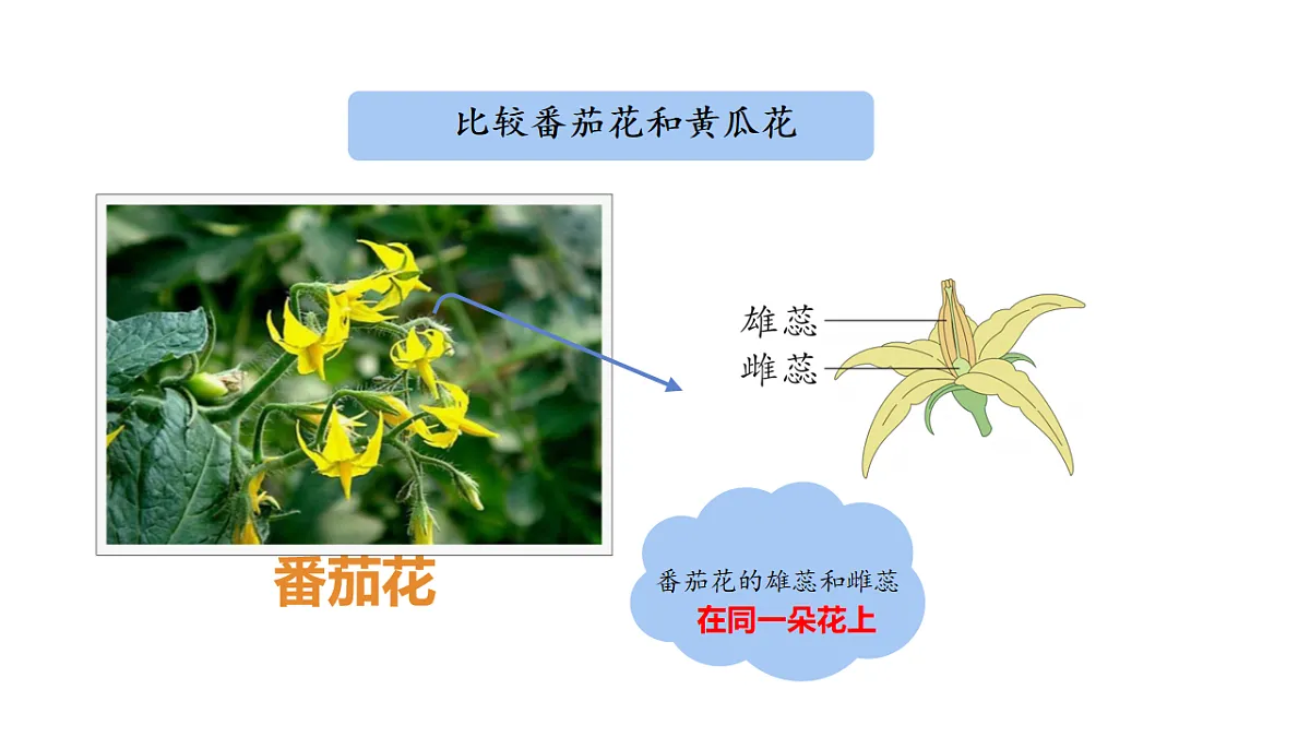 17922565第3页