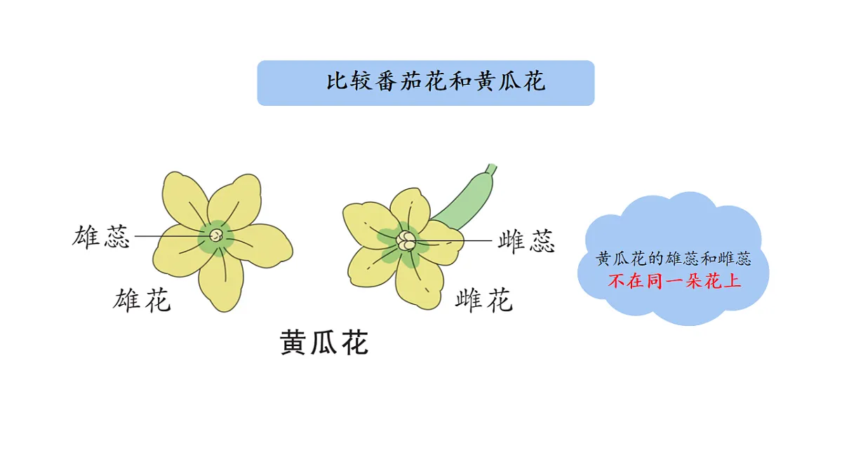 17922565第4页