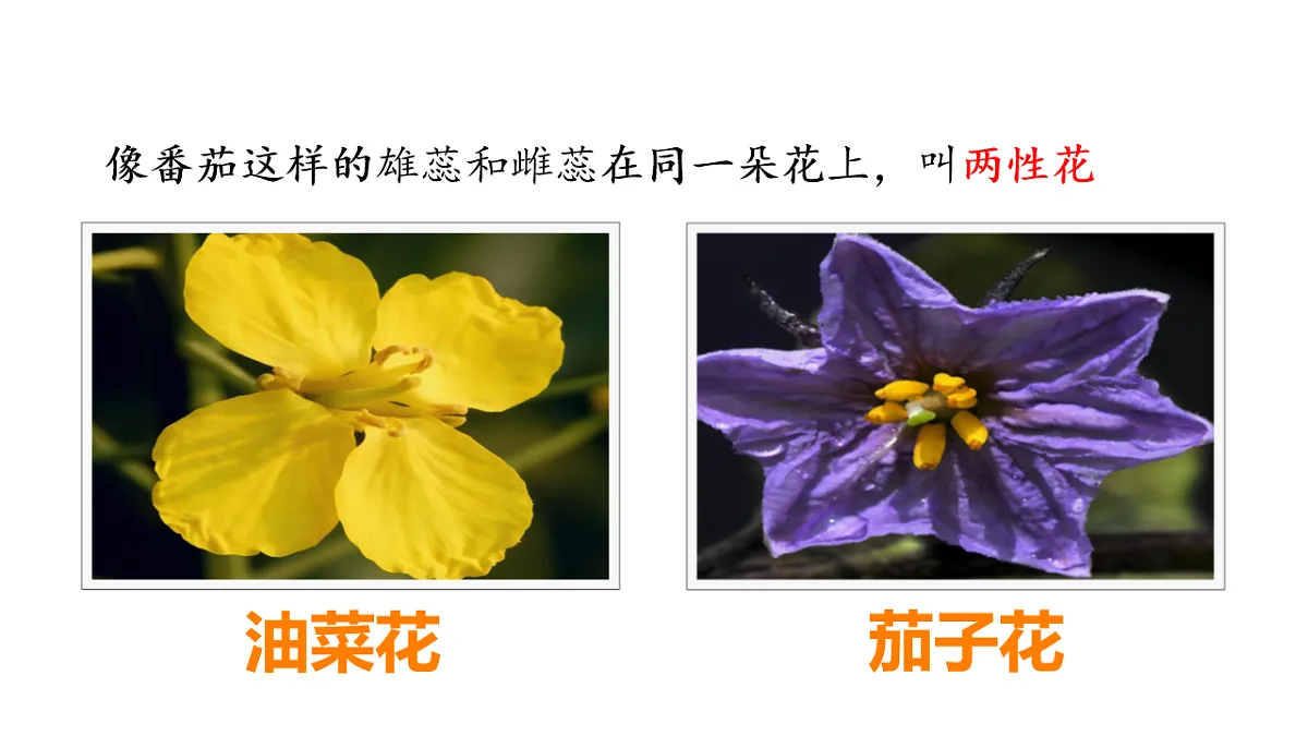 17922565第5页