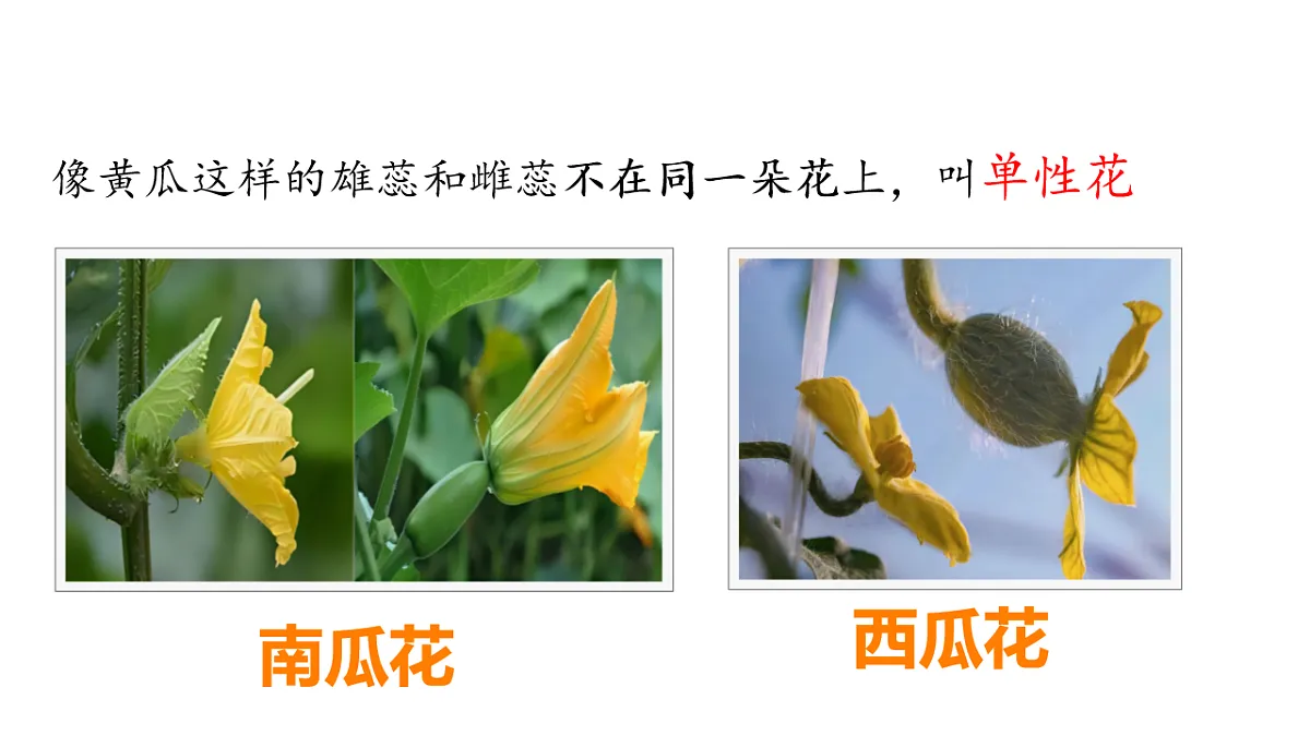 17922565第6页