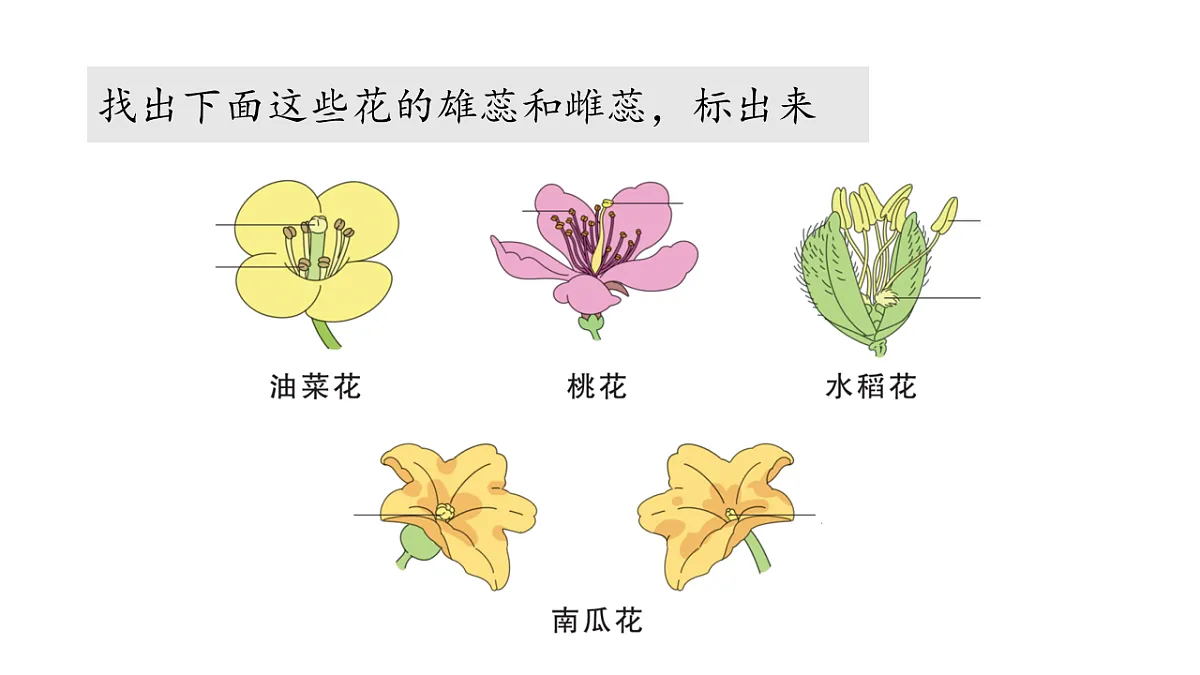 17922565第7页