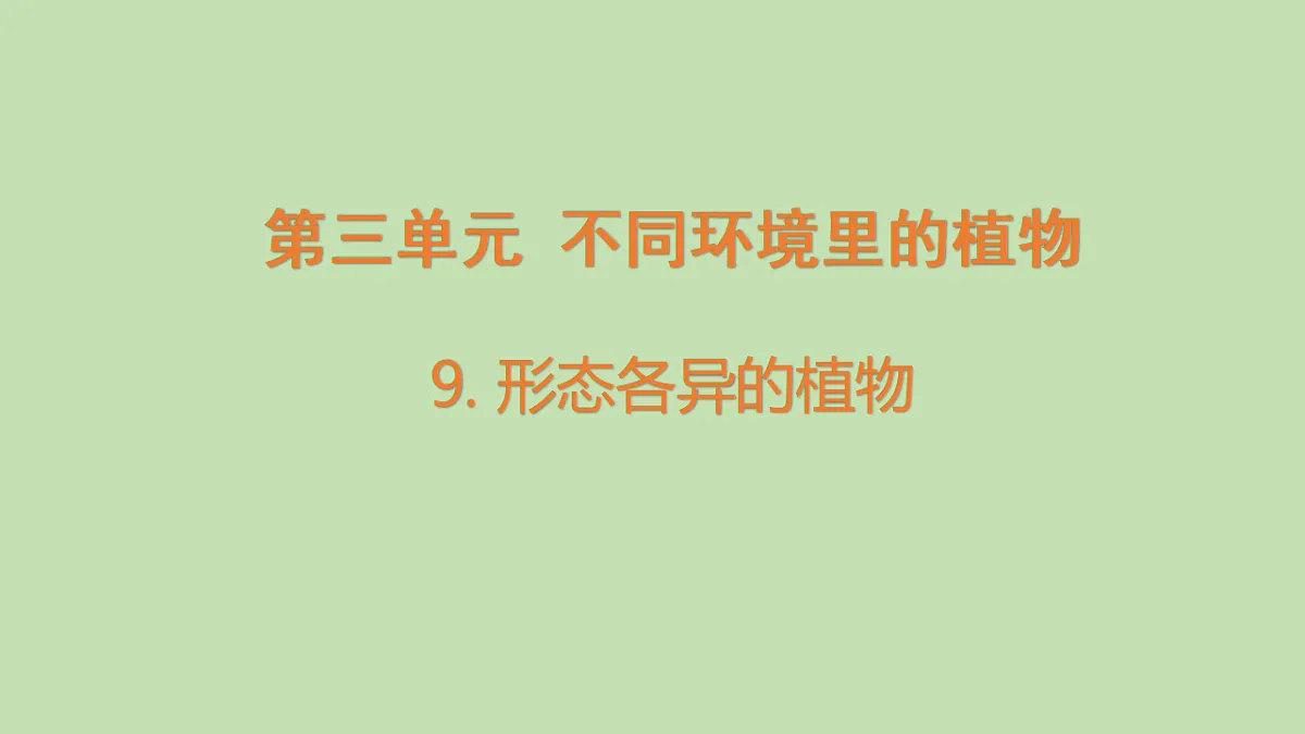 17922569第1页