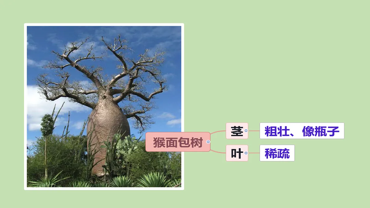 17922569第3页