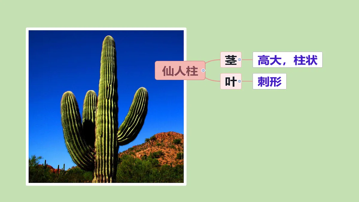 17922569第4页