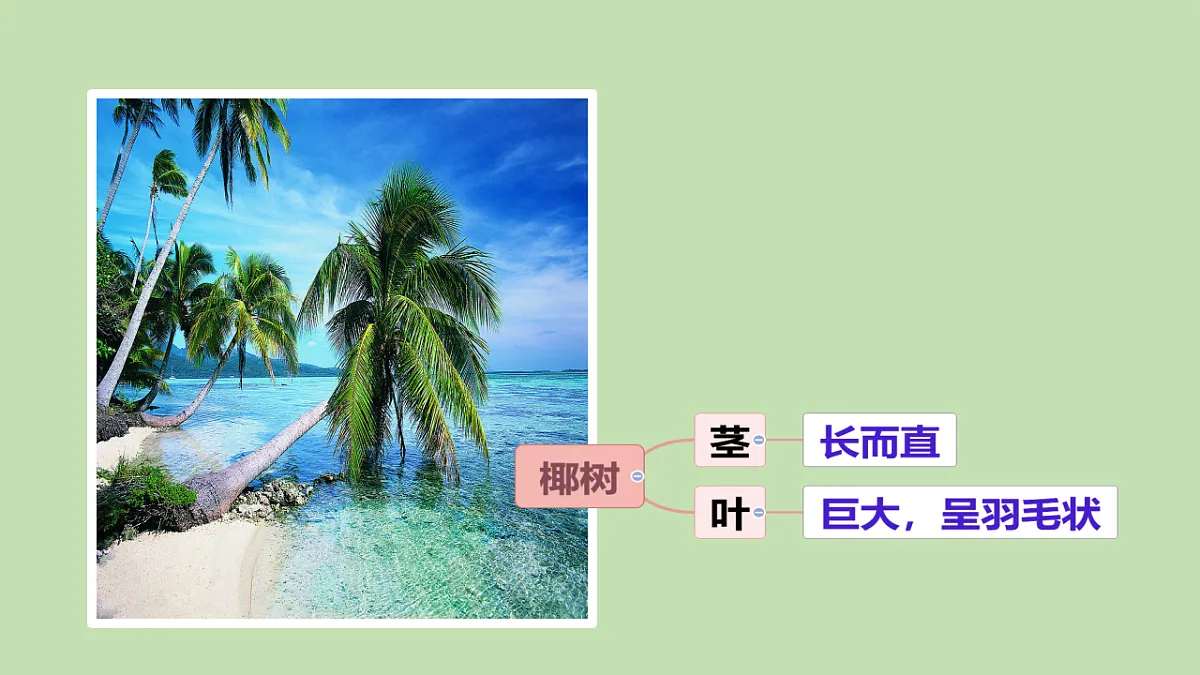 17922569第5页