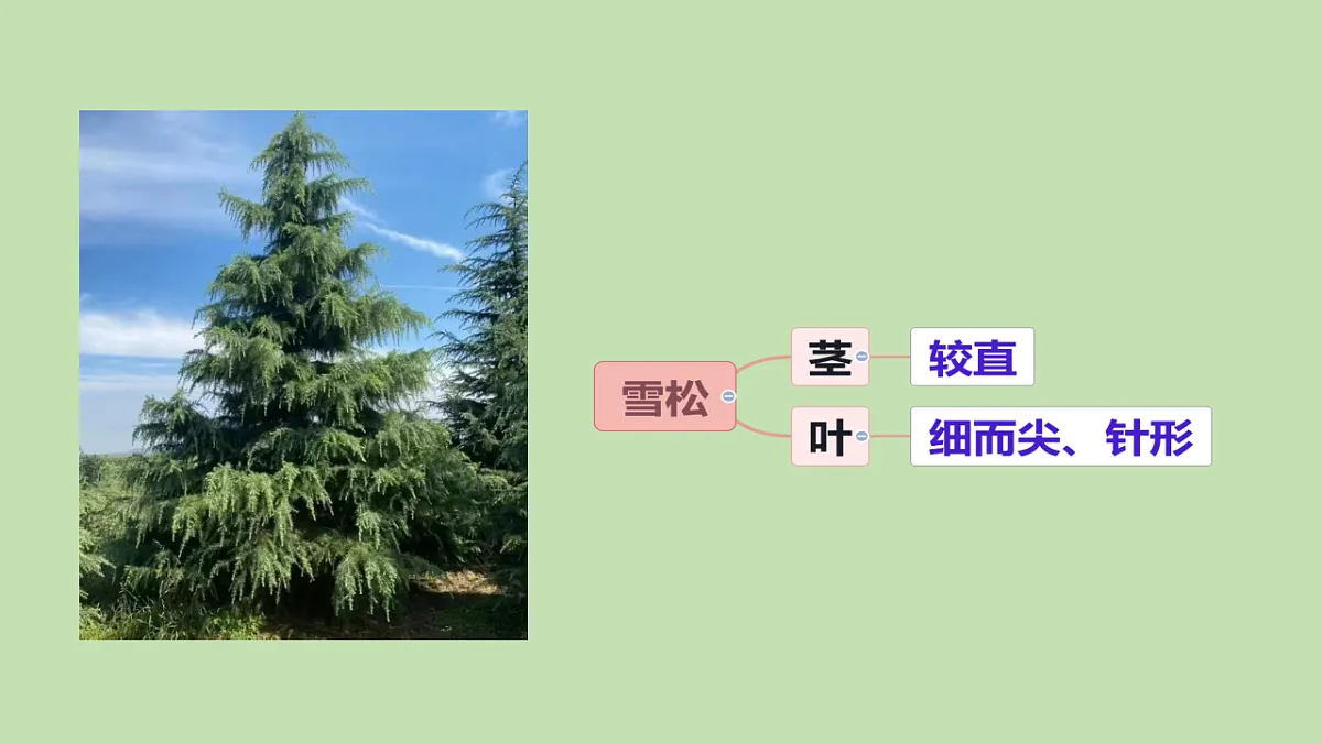 17922569第6页