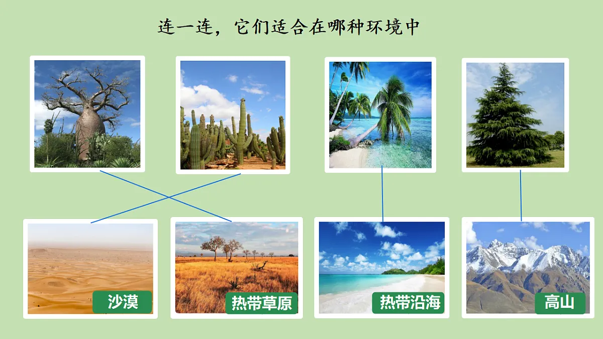 17922569第8页