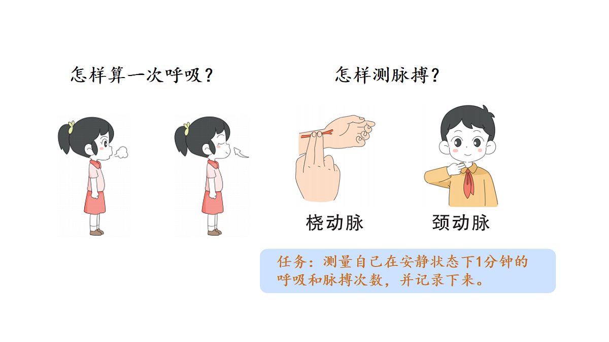 17922576第3页