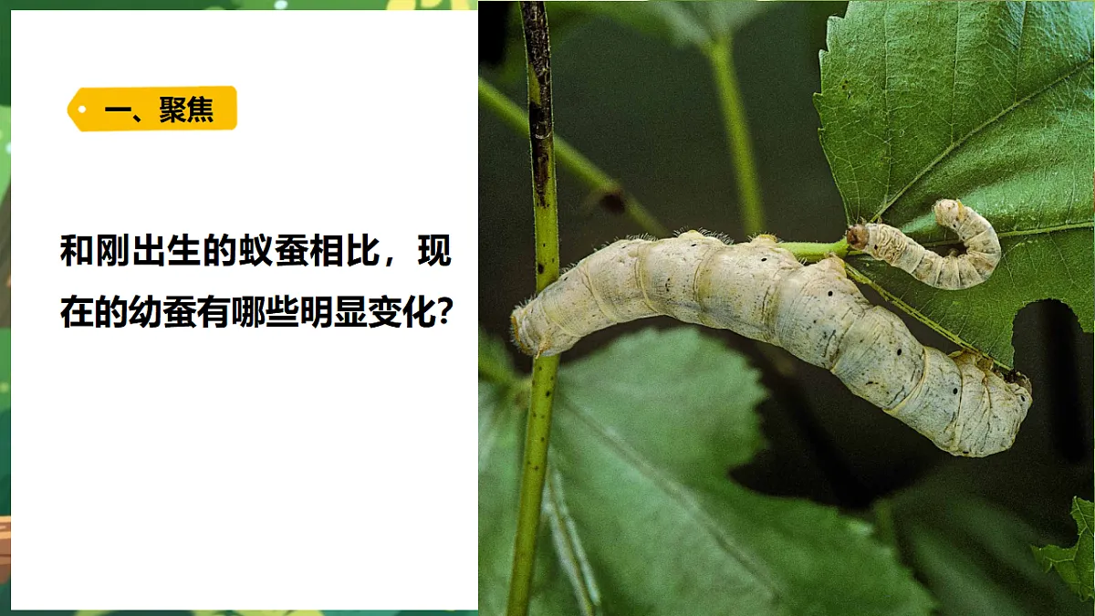 17922643第6页