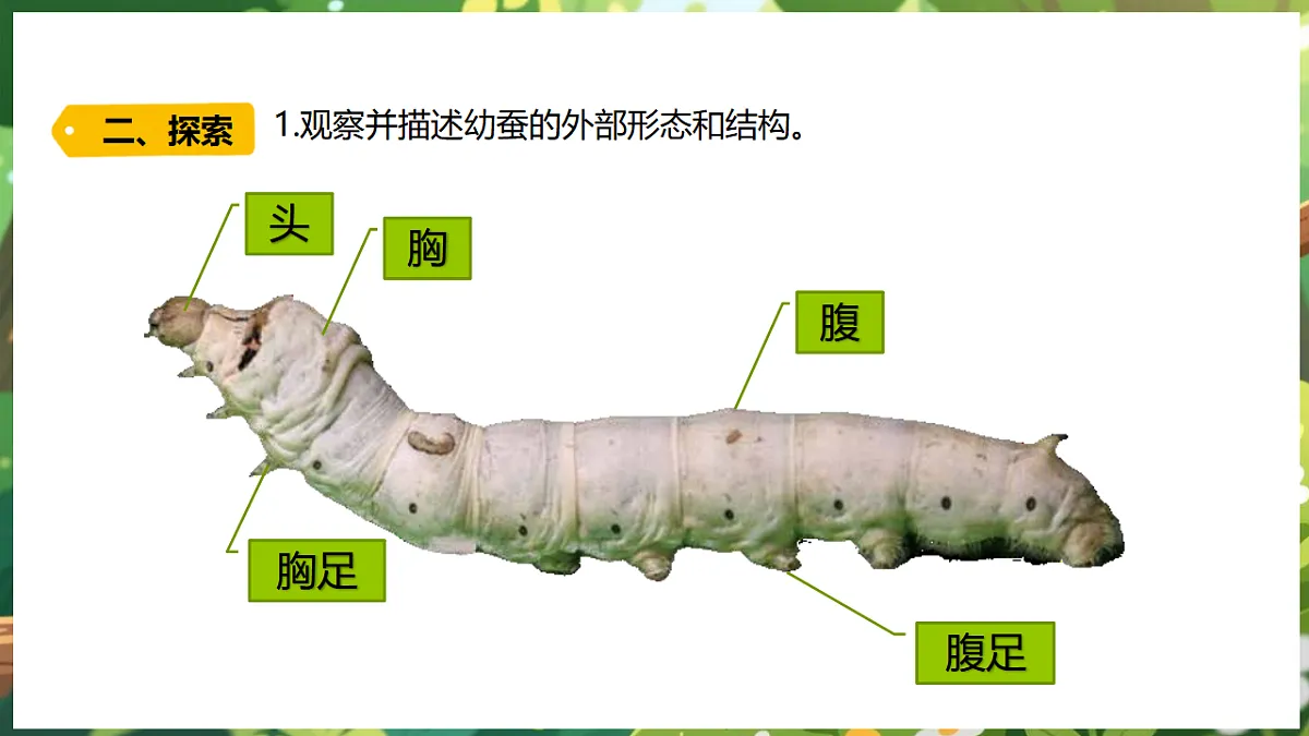 17922643第7页