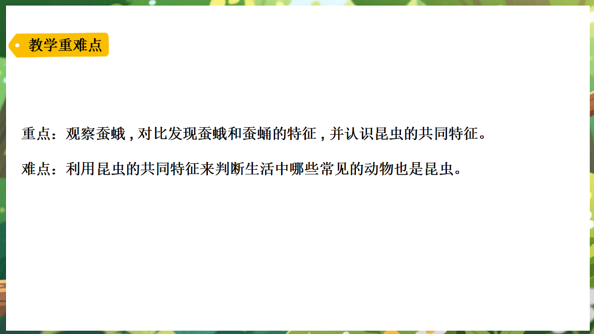 17922645第3页
