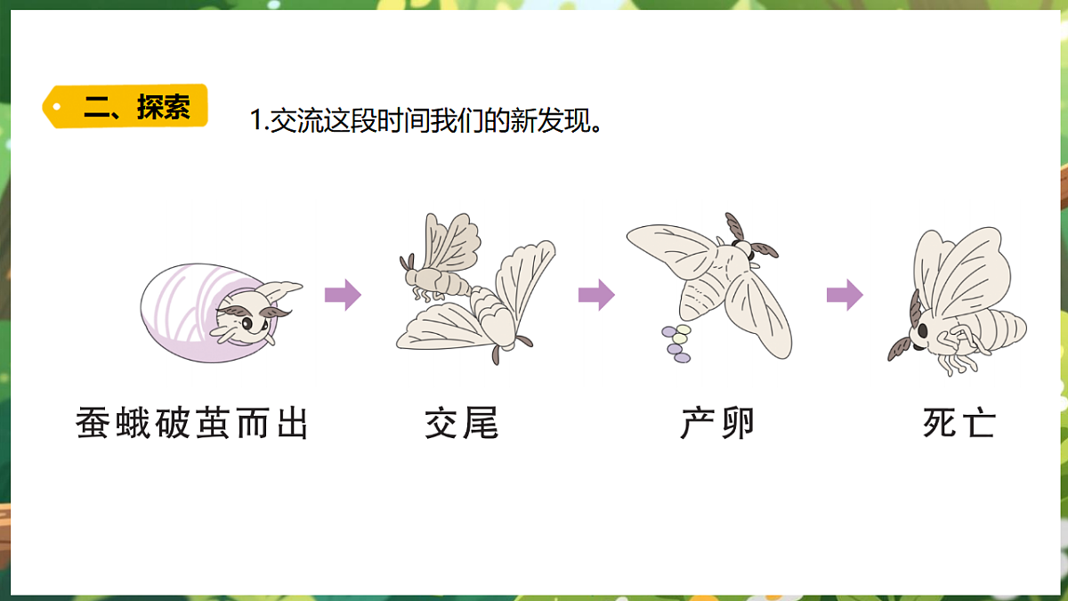 17922645第5页