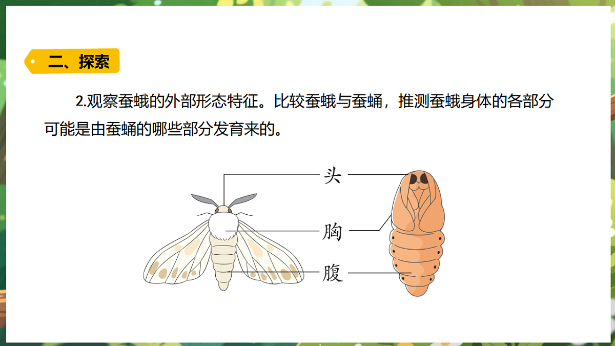 17922645第6页