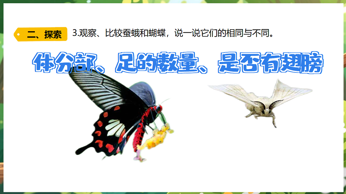 17922645第7页
