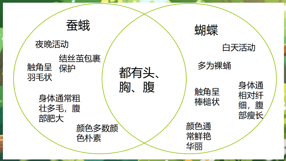 17922645第8页