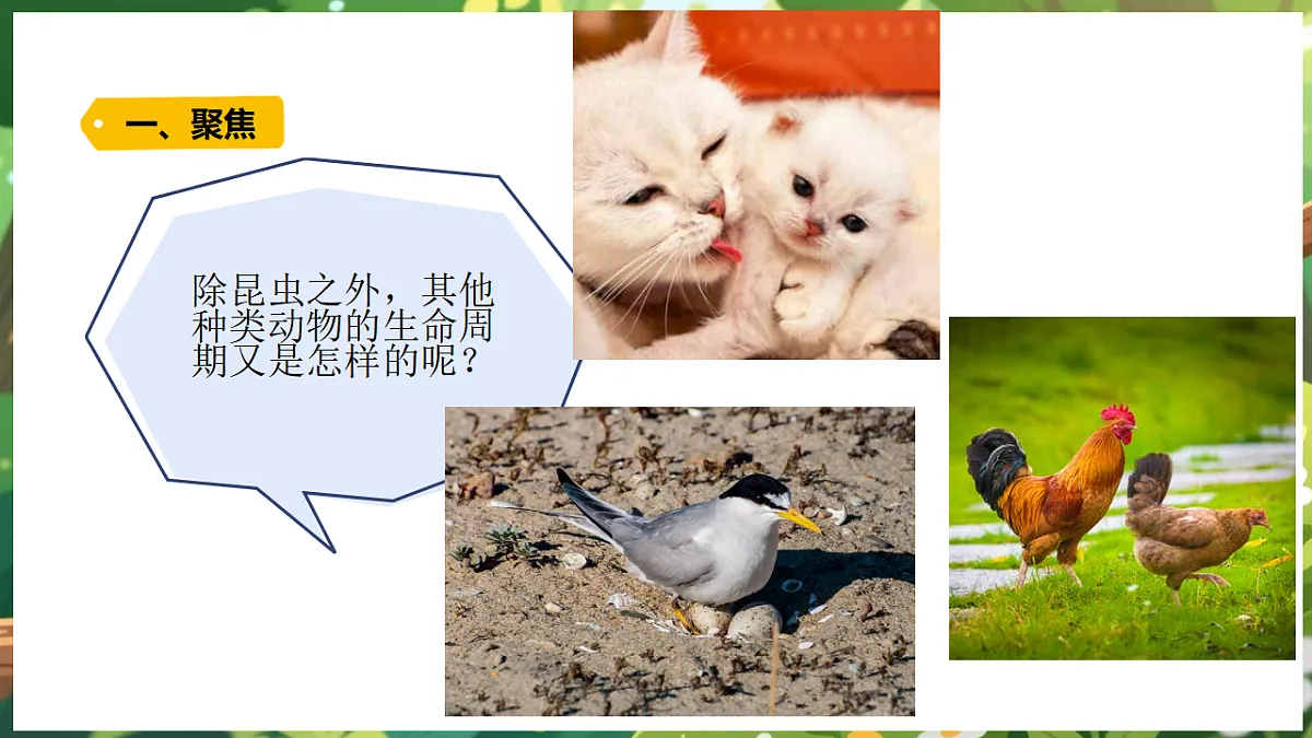 17922647第4页