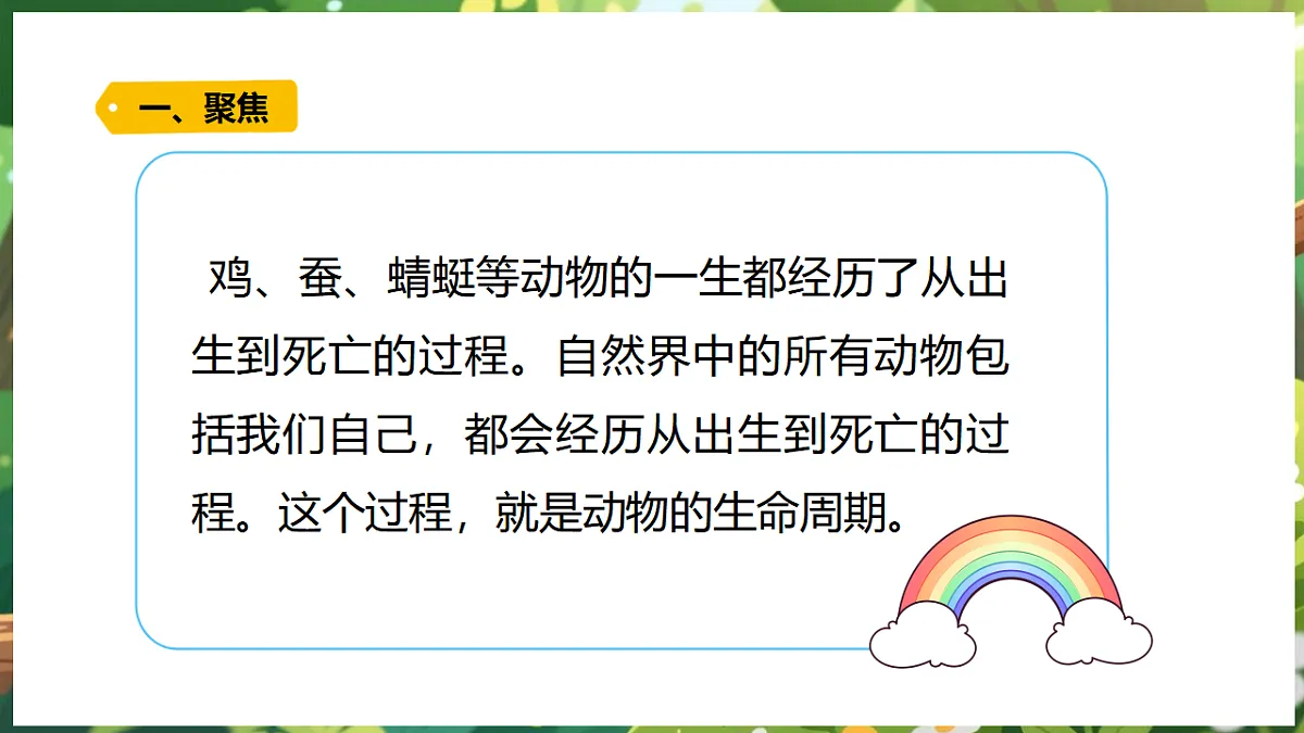 17922647第5页