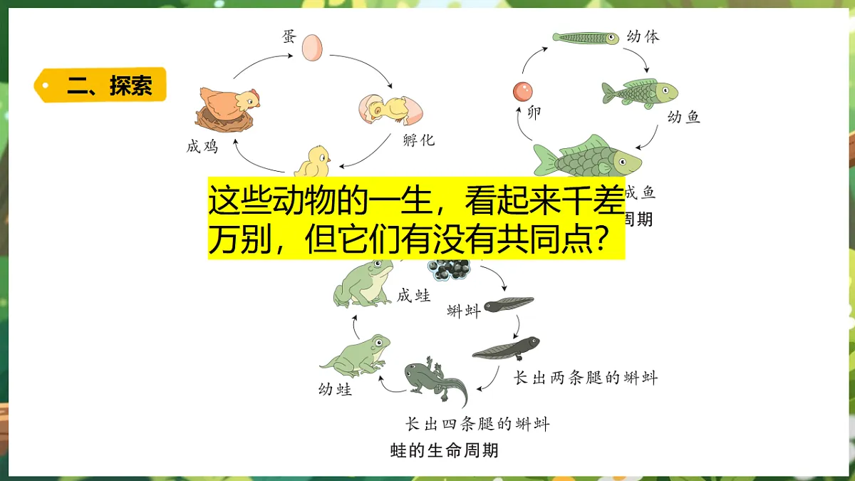 17922647第8页