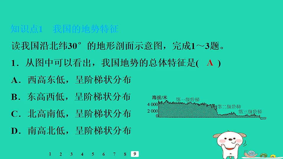 17922862第8页