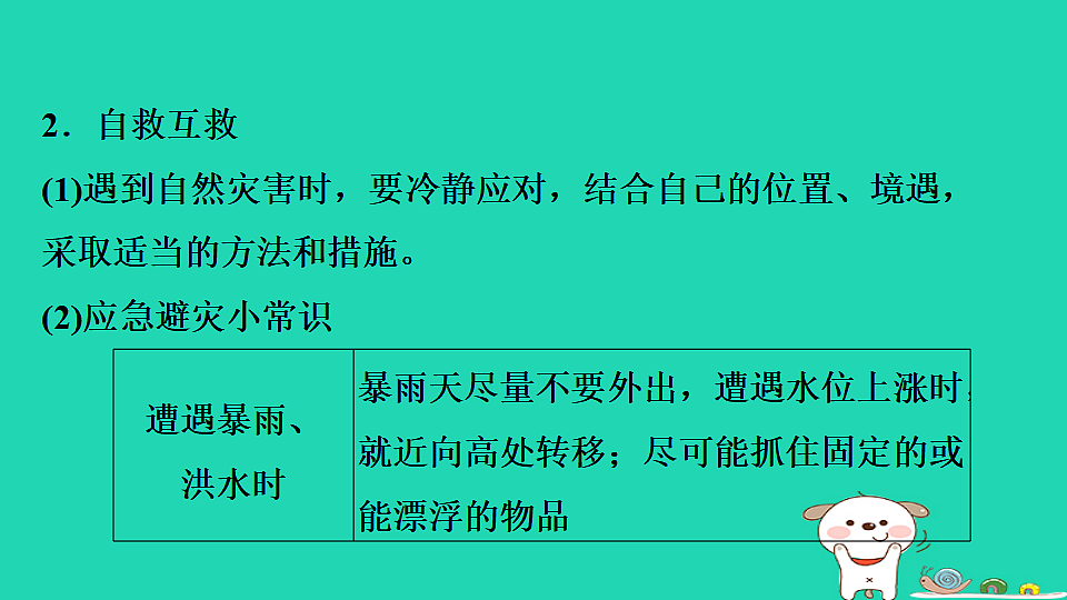17922876第7页