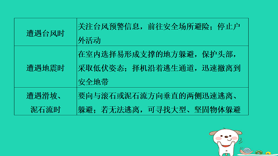 17922876第8页