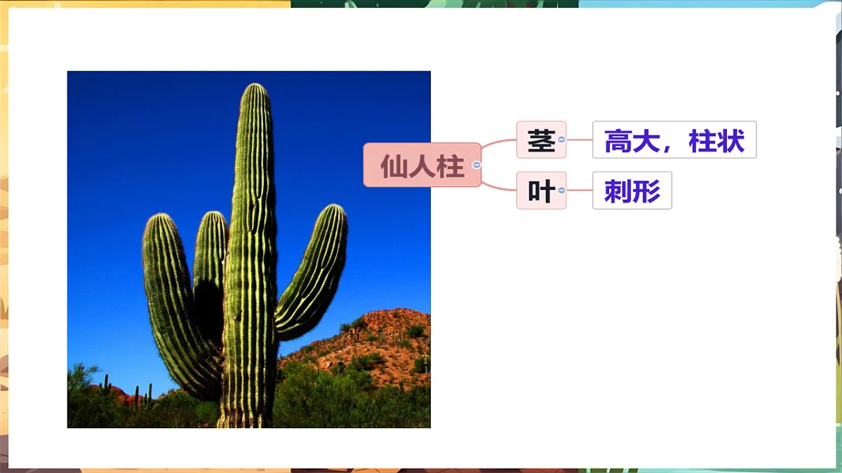 17922944第4页