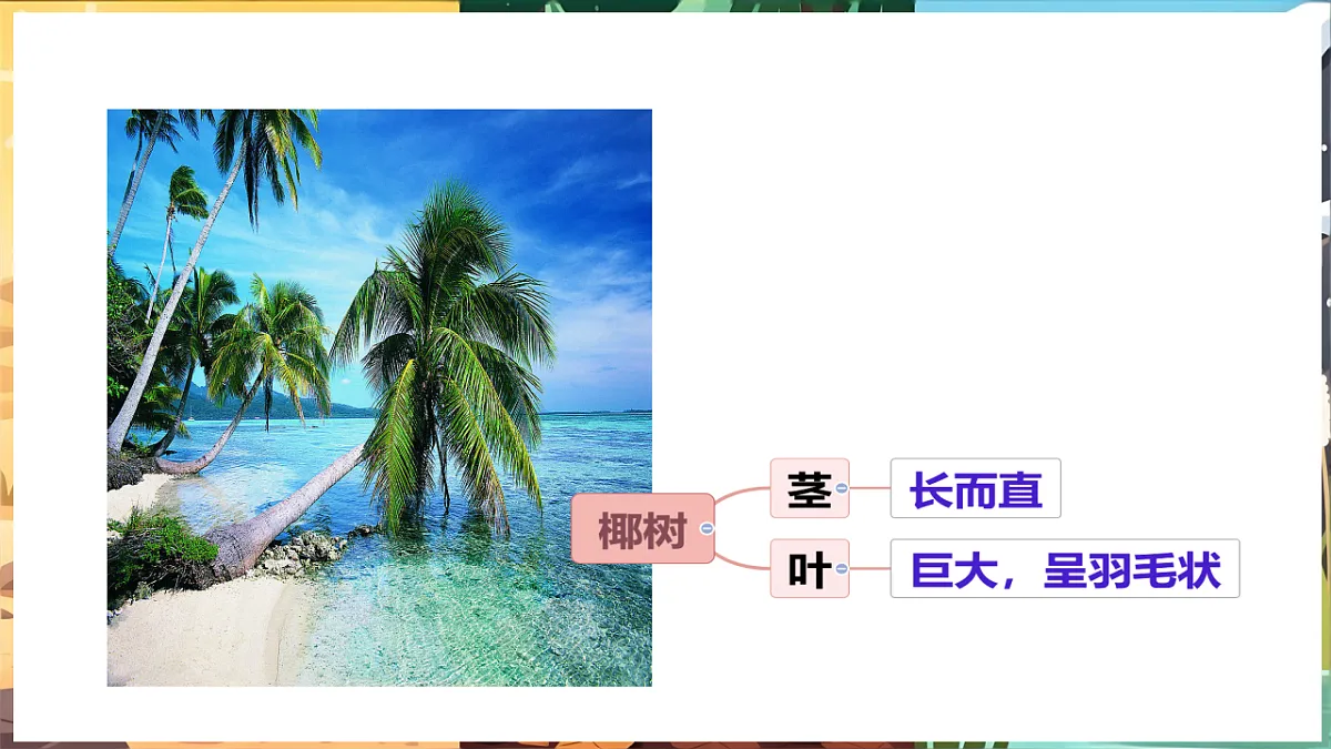 17922944第5页