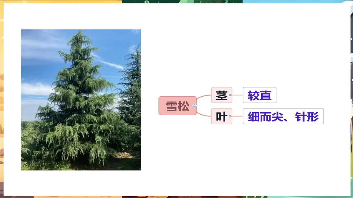 17922944第6页
