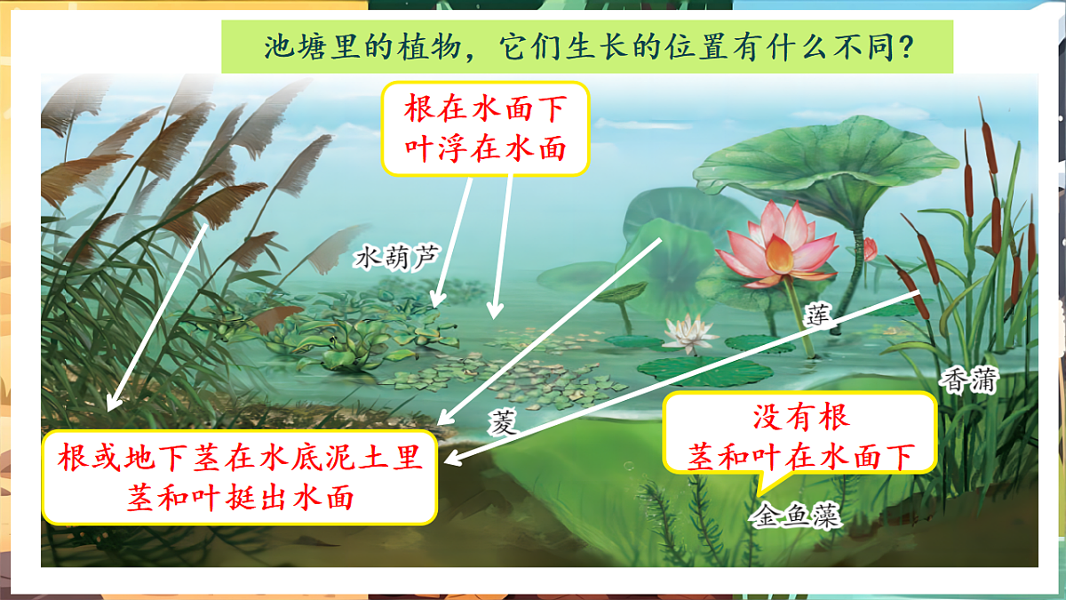 17922945第2页