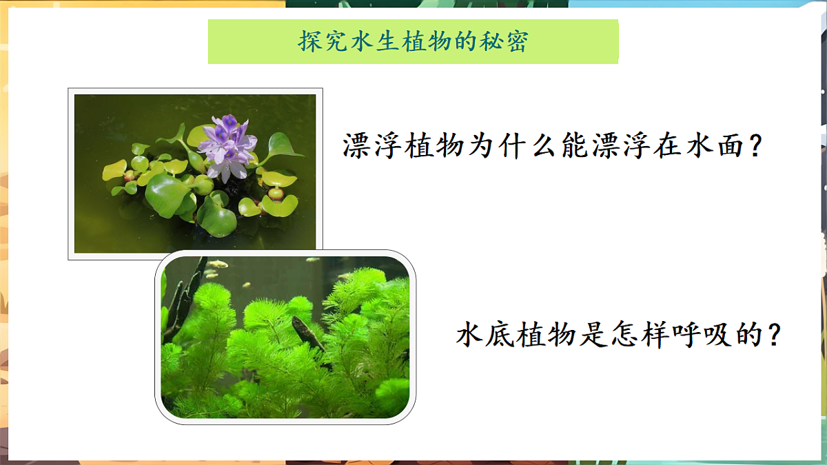 17922945第5页