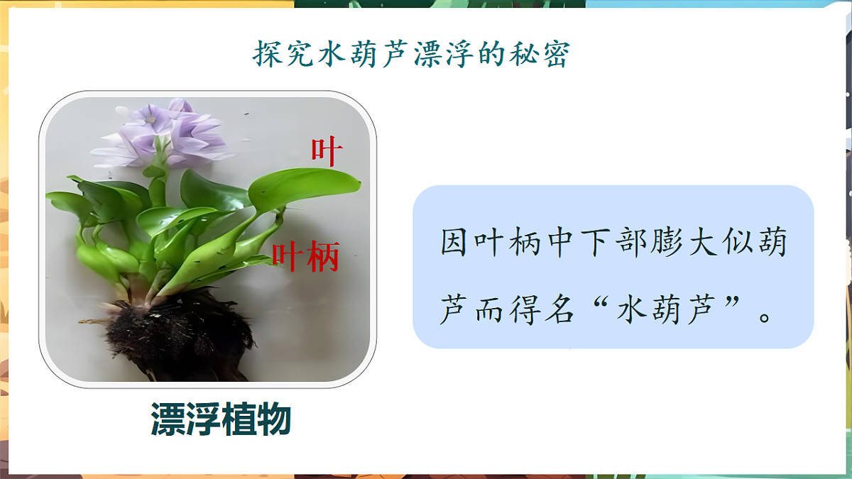 17922945第6页