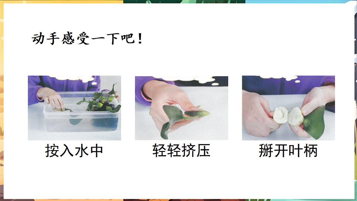 17922945第7页