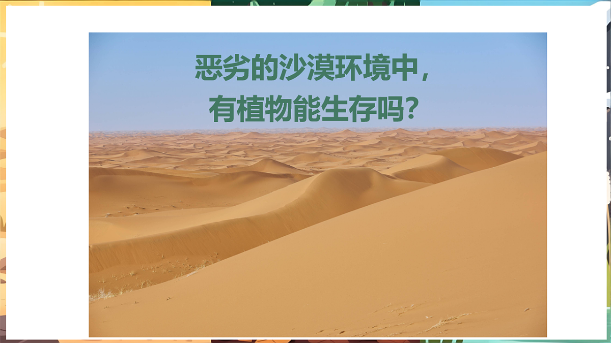 17922946第3页