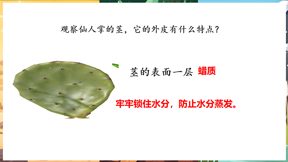 17922946第5页