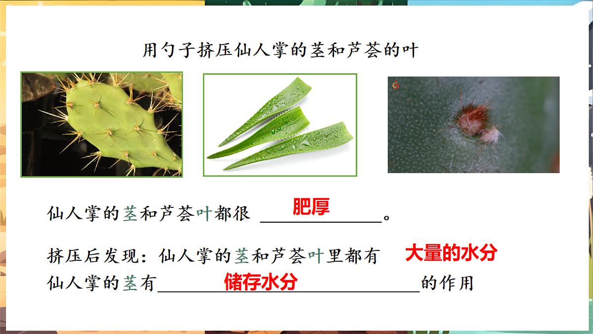 17922946第6页