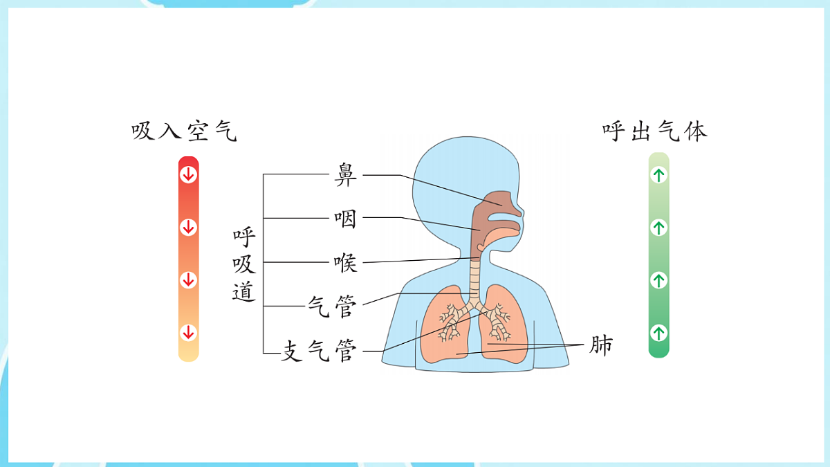 17922952第3页