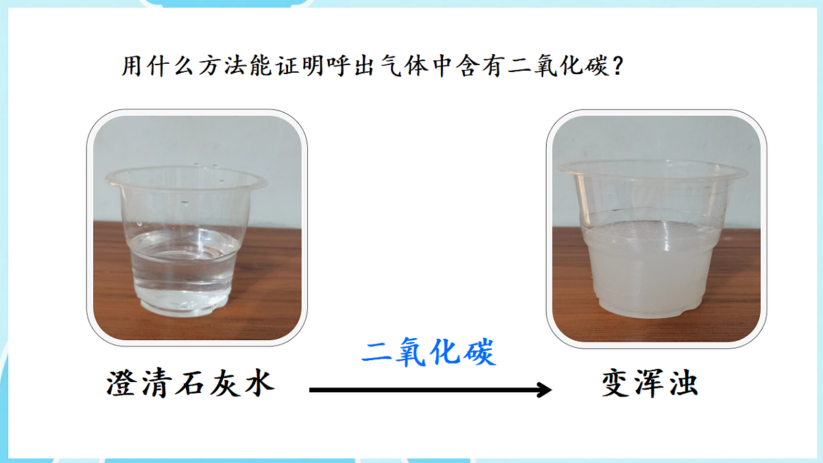 17922952第5页