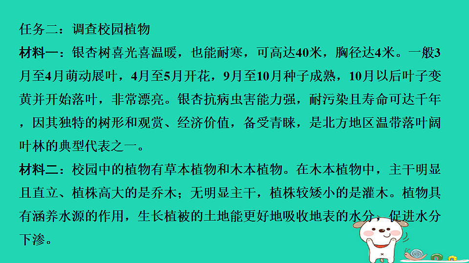 17923241第4页