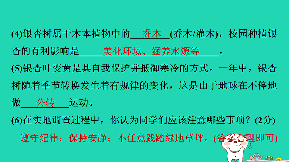 17923241第5页