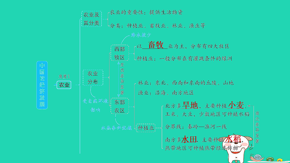 17923245第3页