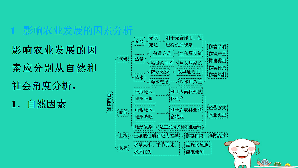 17923245第7页
