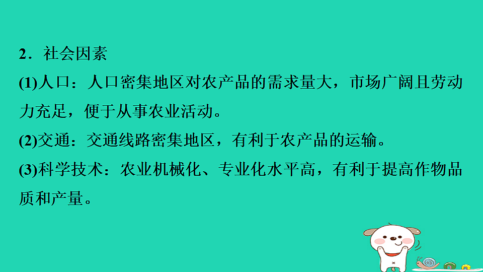 17923245第8页
